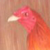 pintura20