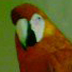 pintura21